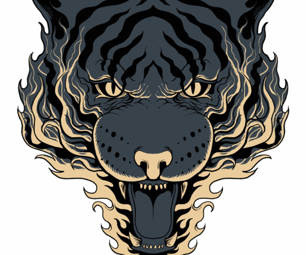 Fiery Tiger - Intense Stare