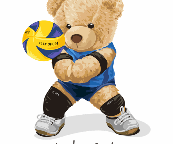 Volleyball Teddy - Ready To Play