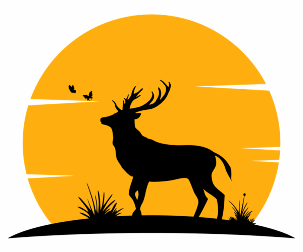 Sunset Stag - Woodland Silhouette