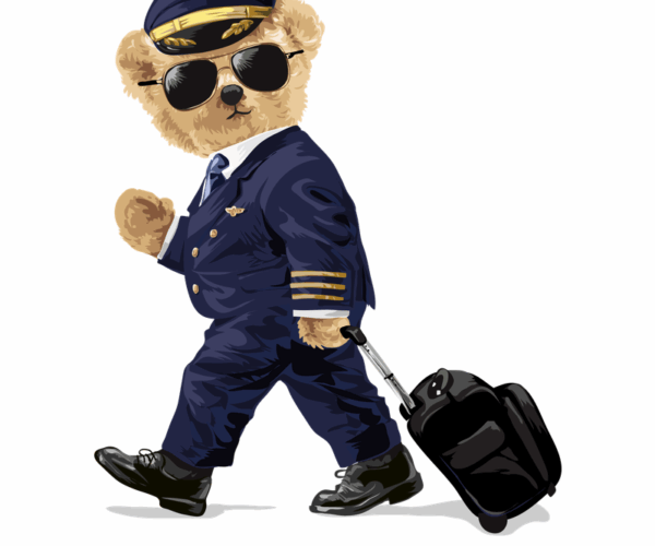 Pilot Bear - Travel Ready