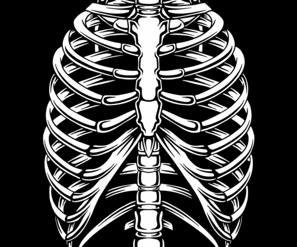 Rib Cage - Anatomical Front View