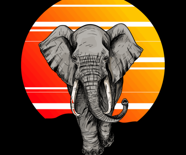 Elephant Sunset - Majestic Wanderer