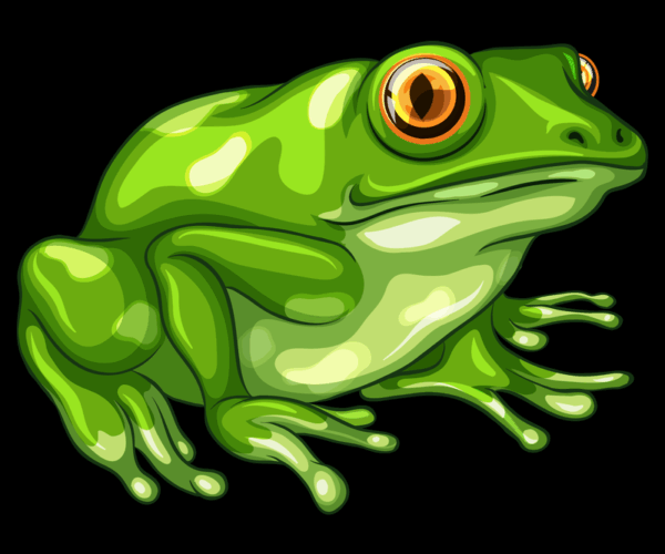 Green Tree Frog - Cartoon Illustration