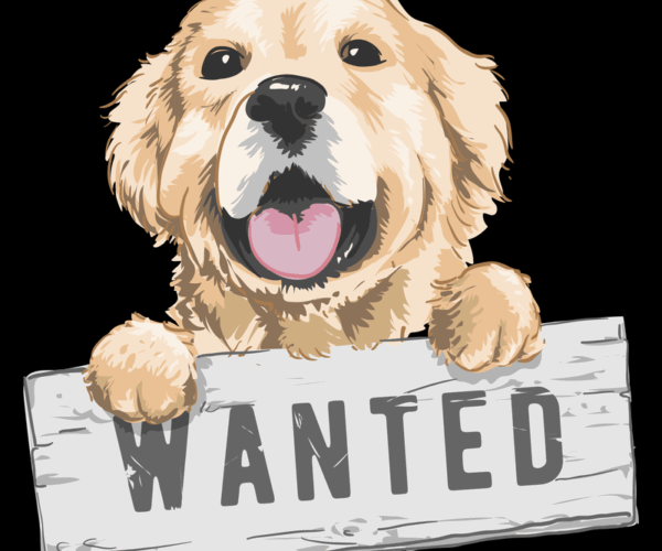 Wanted Dog - Golden Retriever Sign