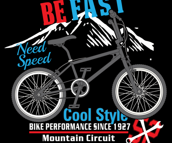 BMX Stunt Bike - Vintage Performance