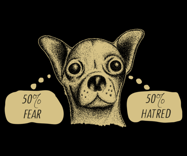 Chihuahua Conflict - Dual Emotions