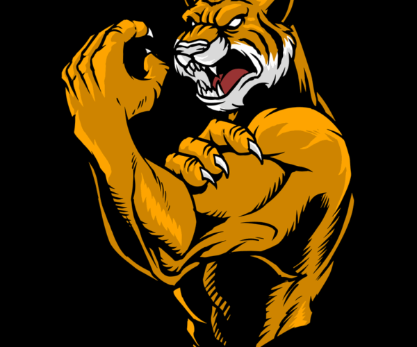 Muscular Tiger - Roaring Strength
