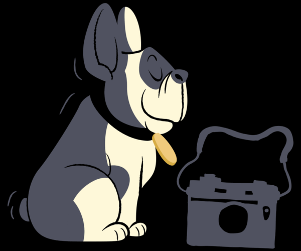 Frenchie Portrait - Camera Companion