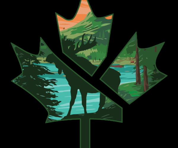 Canadian Moose - Wilderness Silhouette