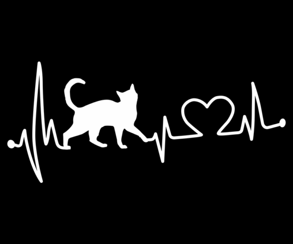 Feline Vitality - ECG Heartbeat