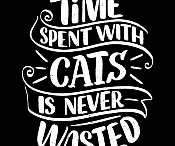 Time with Cats - Typography Design