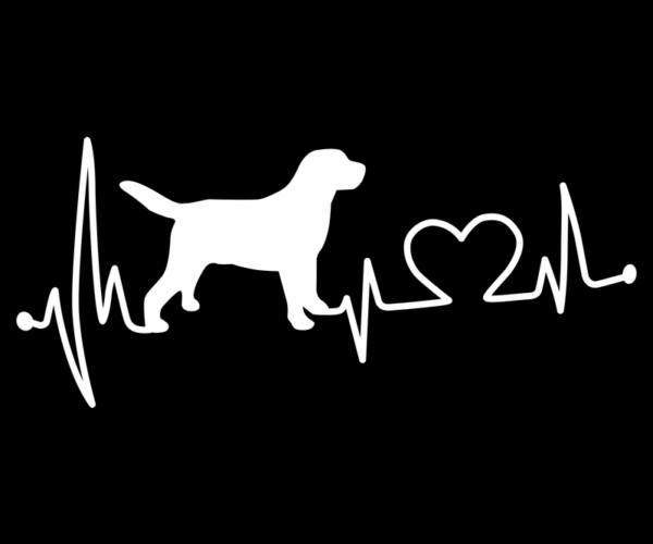 Dog Heartbeat - Labrador Love