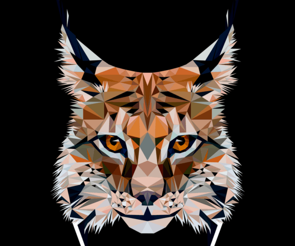 Geometric Lynx - Mountain Cat Portrait