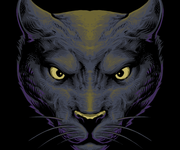 Black Panther - Intense Gaze