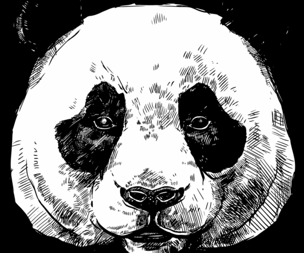 Panda Portrait - Expressive Ink Sketch