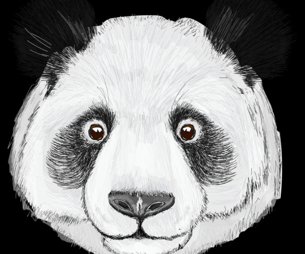 Panda Portrait - Cute Wildlife Art