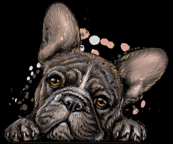 French Bulldog - Watercolor Pet Portrait