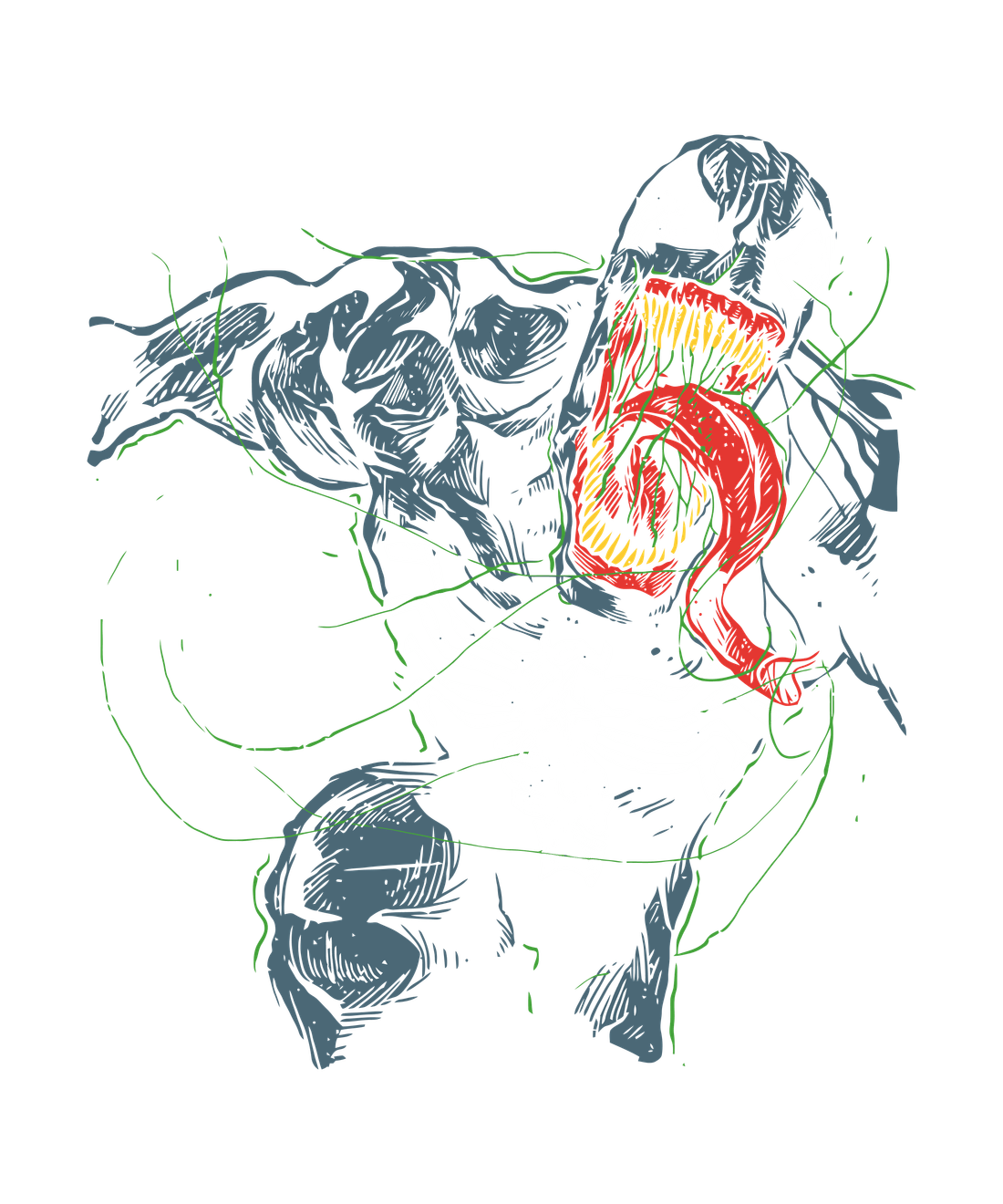 Design
