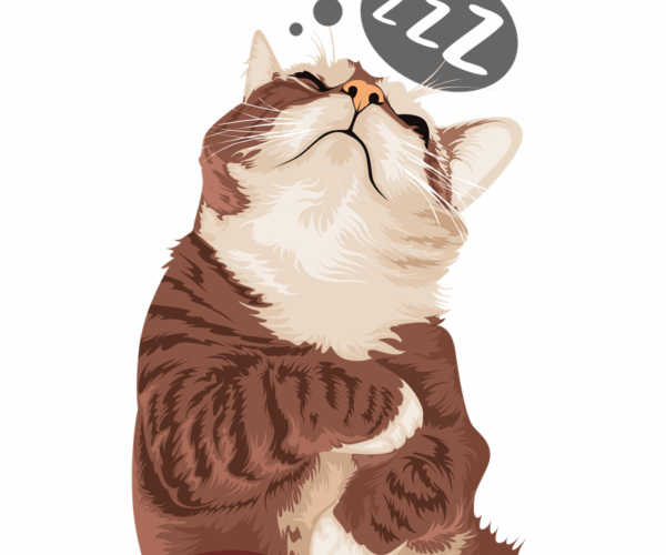 Dreamy Tabby - Relaxing Naptime