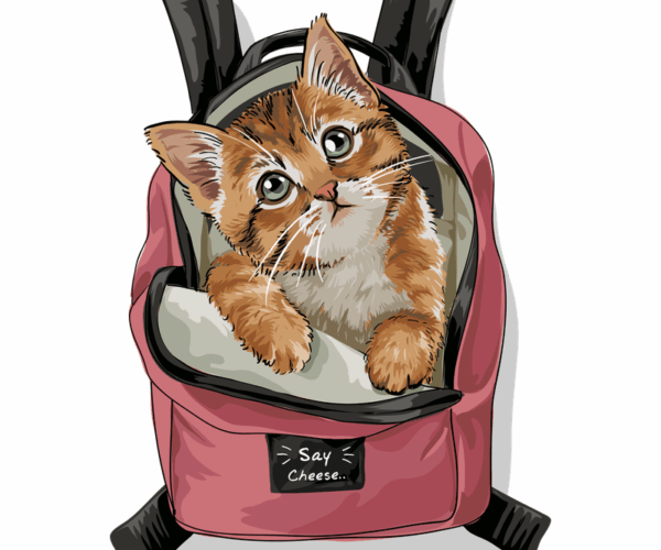 Backpack Cat - Quirky Companion
