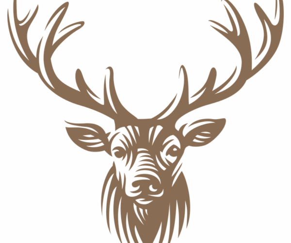 Majestic Stag - Noble Creature