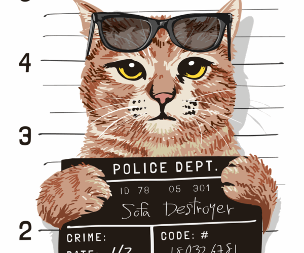 Sofa Destroyer - Bad Cat Mugshot