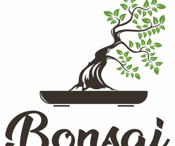 Bonsai Tree - Serene Miniature Garden