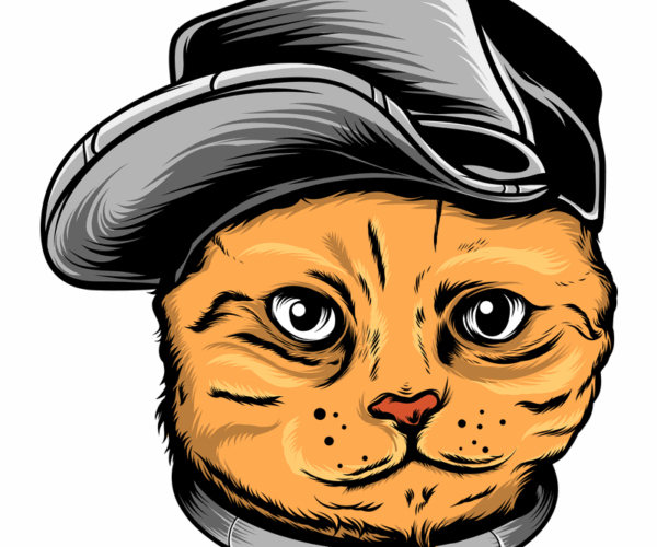 Cowboy Cat - Western Feline