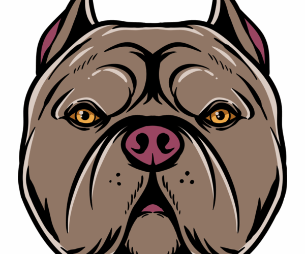 Bulldog Stare - Intense Gaze
