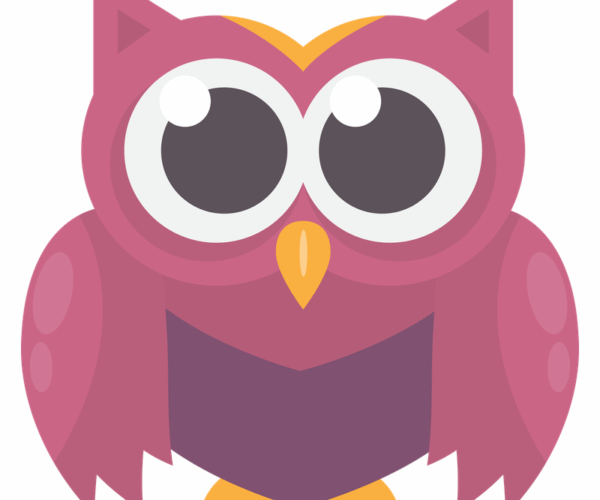 Cute Owl - Animated Style