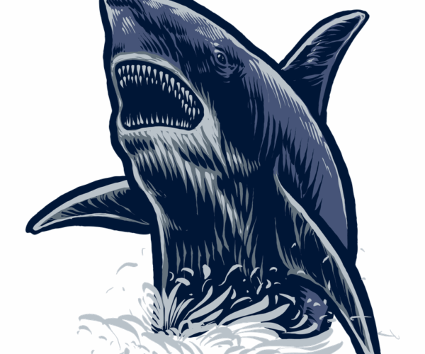Great White Shark - Aquatic Predator