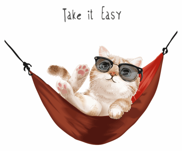 Relaxing Cat - Hammock Time