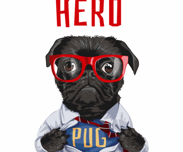 Super Pug - Hero Reveal