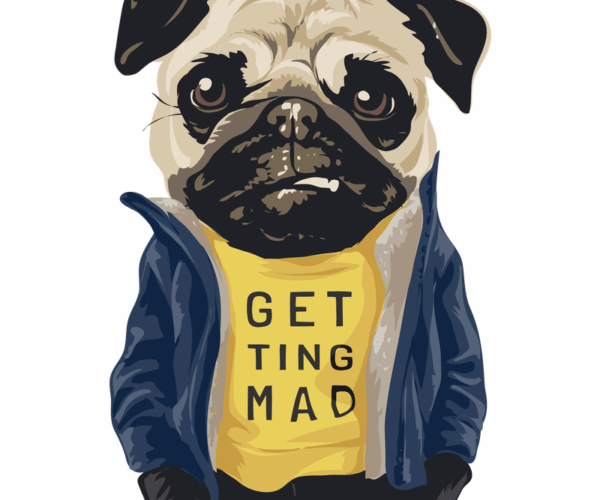 Pug Life - Cool and Grumpy