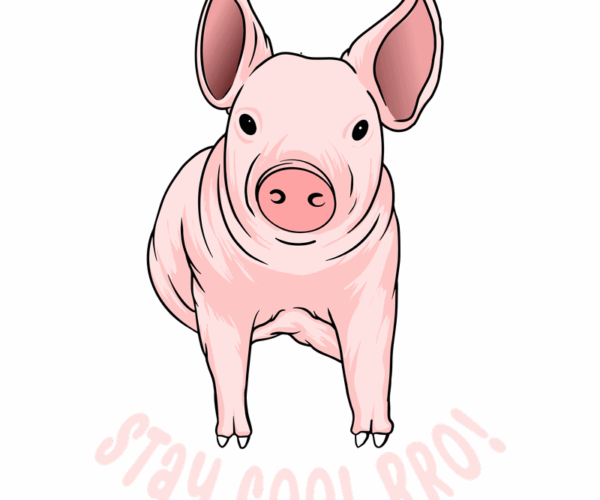 Bro Pig - Stay Cool Edition
