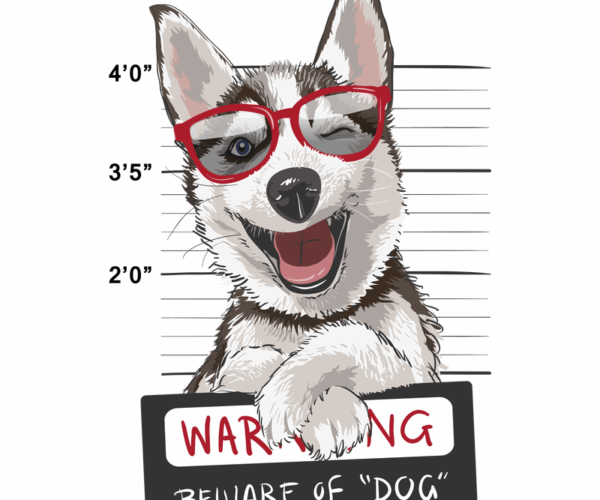 Husky Thief - Playful Pup Mugshot