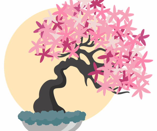 Cherry Blossom Bonsai - Floral Serenity