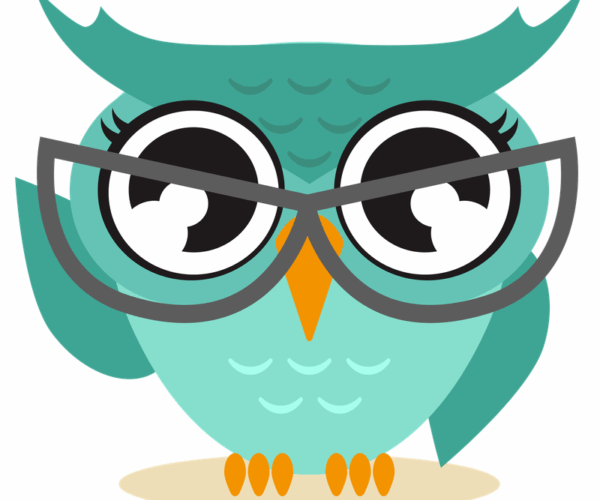 Wise Owl - Intellectual Stare