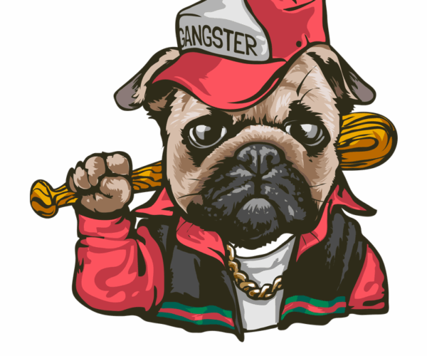 Gangster Pug - Mischievous Pup