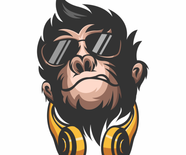 DJ Gorilla - Cool Grooves