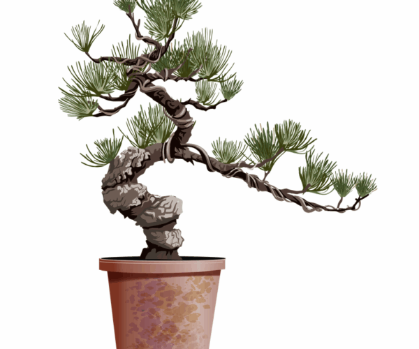 Bonsai Serenity - Rooted Wisdom Design