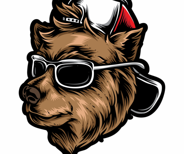 Cool Bear - Urban Style