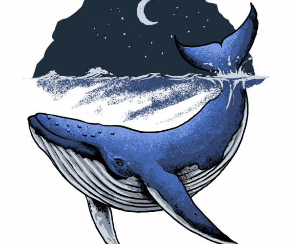 Night Whale - Ocean Dreamscape