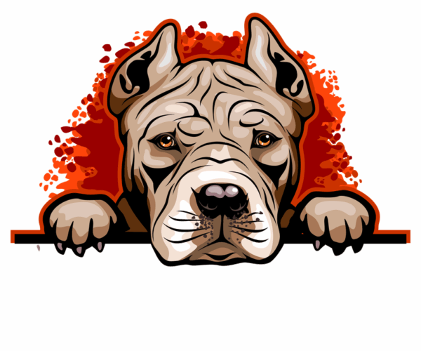 American Pitbull Terrier - Detailed Portrait
