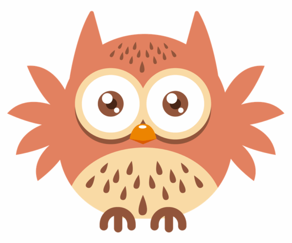 Cartoon Owl - Cute Design