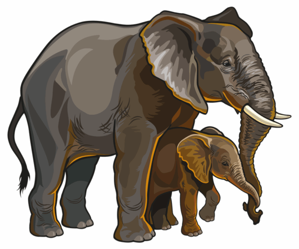 Elephant Family - Vector Art