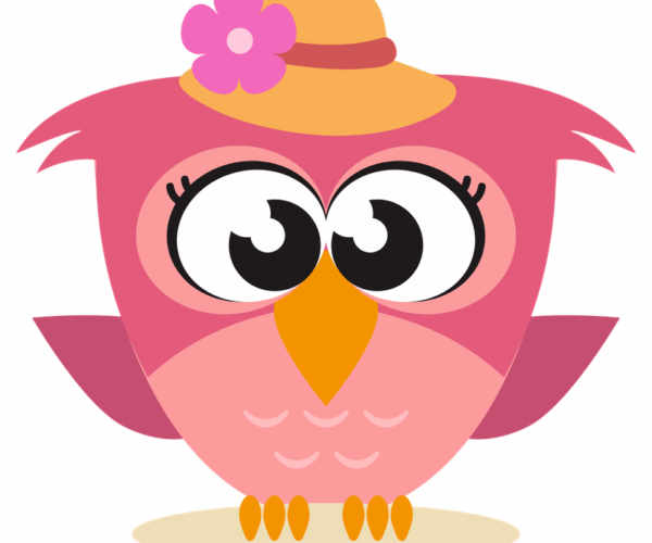 Owl With Hat - Sweet Summer Style