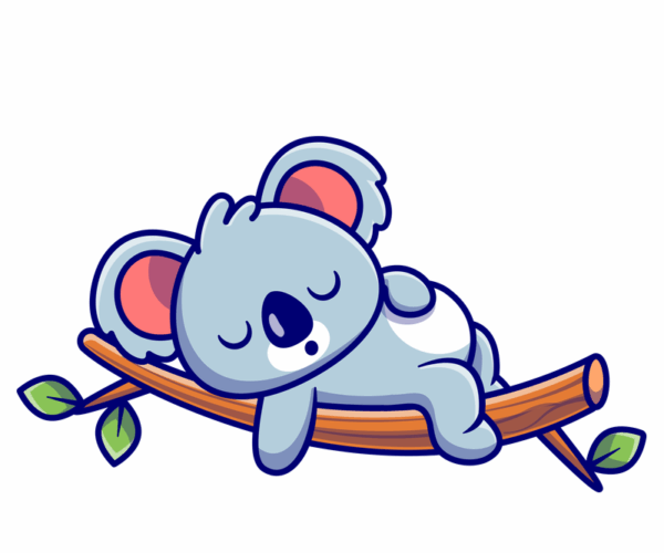 Sleeping Koala - Peaceful Slumber