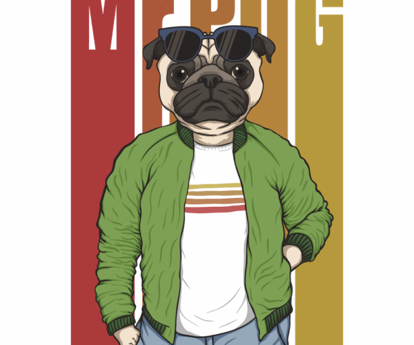 Mr. Pug - Dapper Pup
