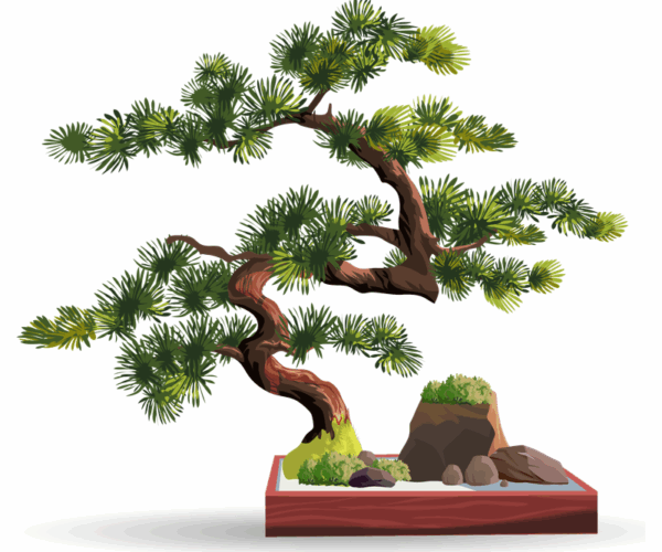 Bonsai Dream - Tranquil Miniature Tree